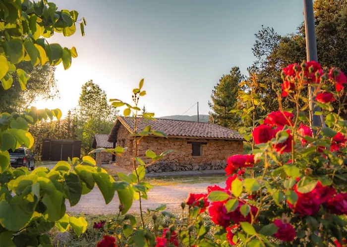 Cabañas Rio Mundo