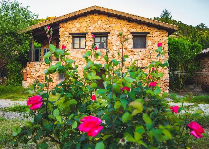 Cabañas Rio Mundo